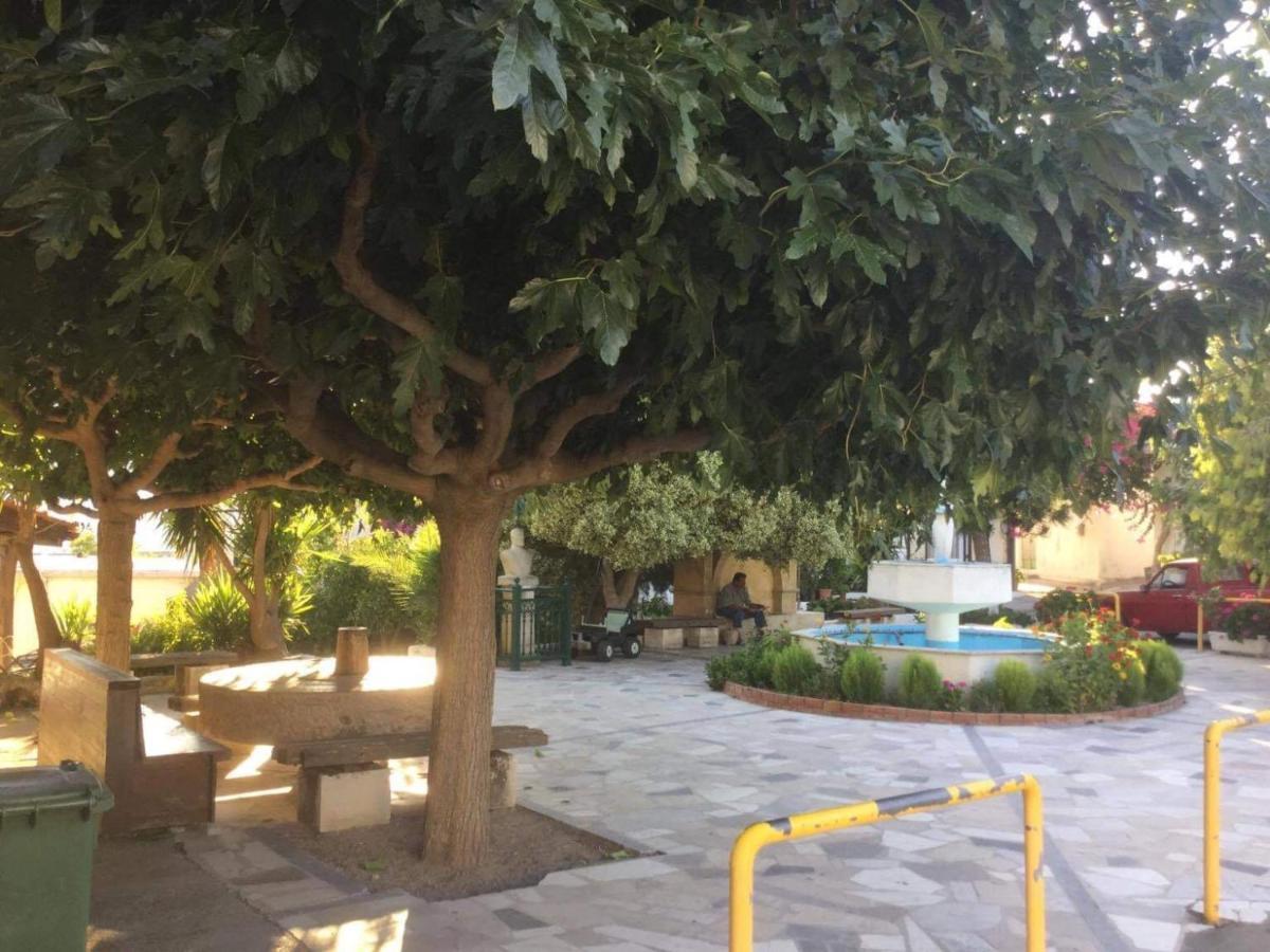 Cosy Country Villa Pappaygiannades Dış mekan fotoğraf